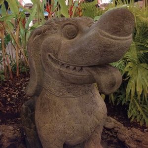 Meet your Posher, Shelly